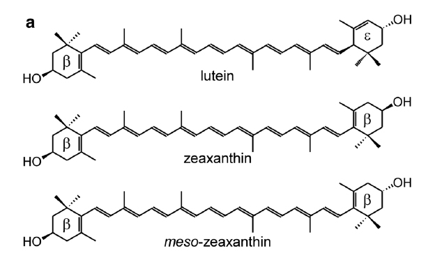 루테인, 천연지아잔틴, 메소지아잔틴의 분자구조