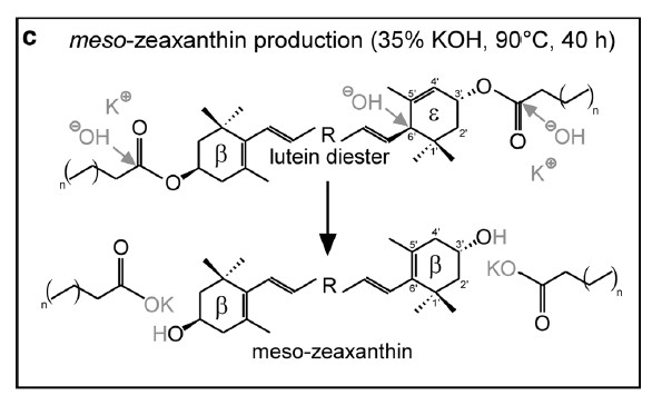 루테인에스터를 메소지아잔틴으로 변형시키는 반응 메커니즘(Prado-Cabreroet el, Eur Food Res Technol (2016) 242:599-608)