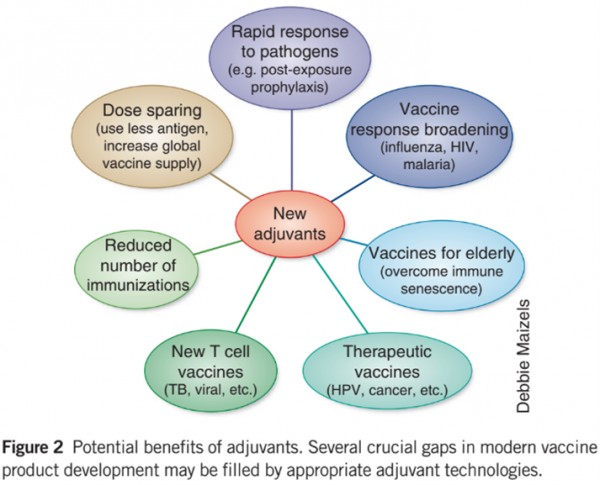 Key roles of adjuvants in modern vaccines. Nature medicine. DEC 2013