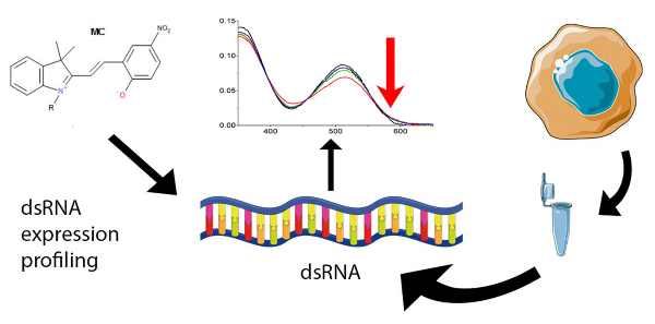 흡광도 변화를 이용한 dsRNA 발현 측정 기술