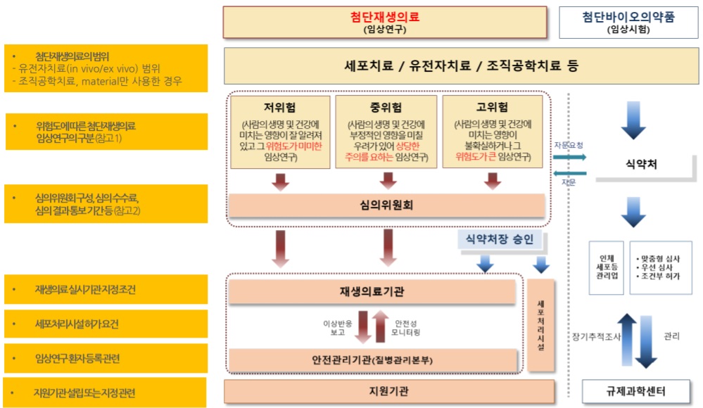 첨단재생의료 임상연구 실시절차 및 주요이슈
