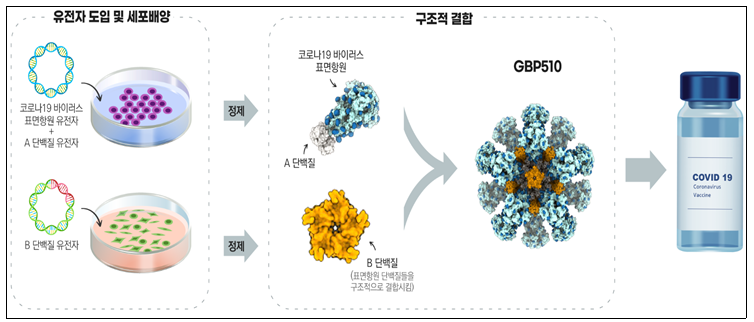 GBP510 제조과정 개요 (식약처 제공)