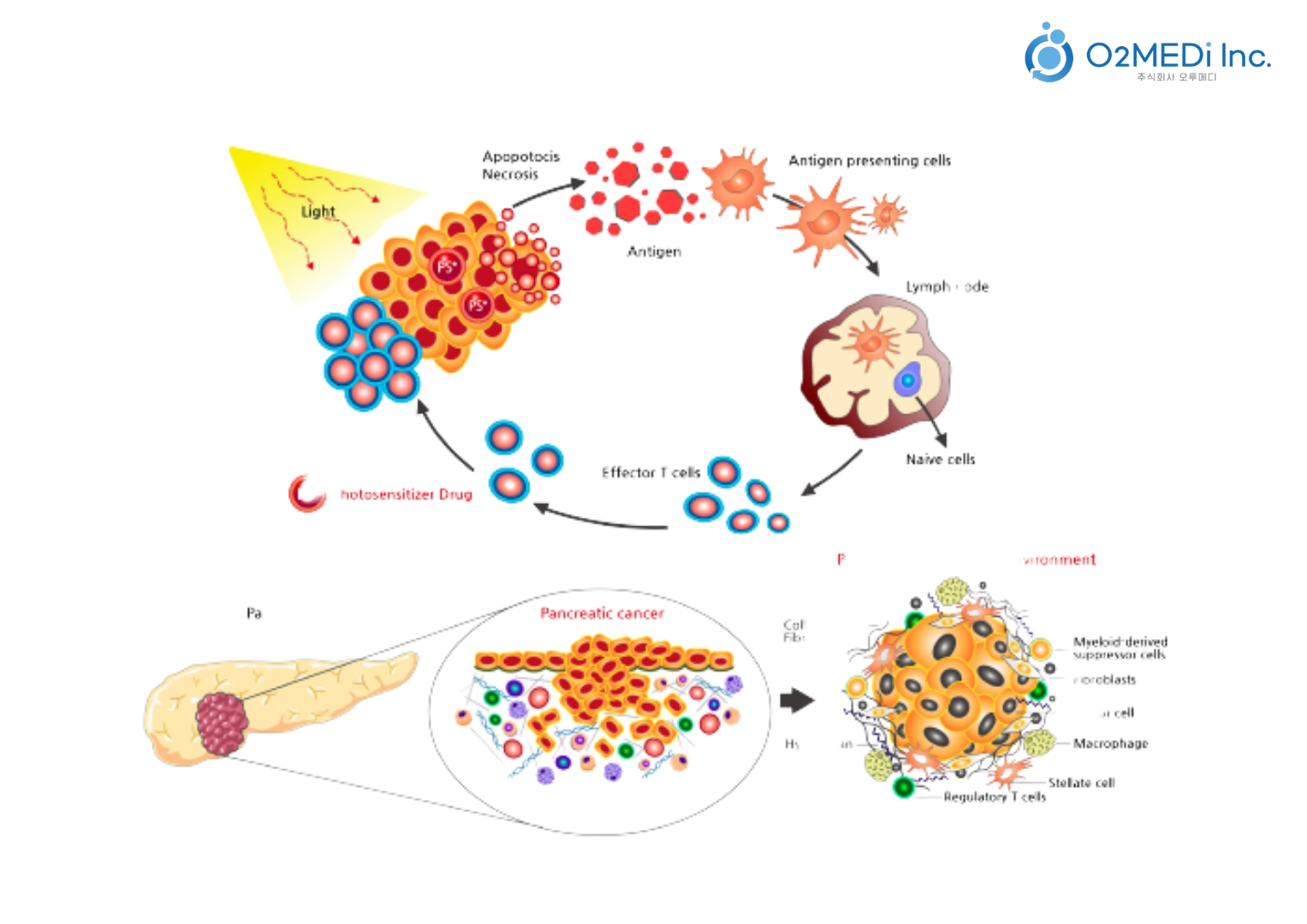 오투메디 PR 이미지