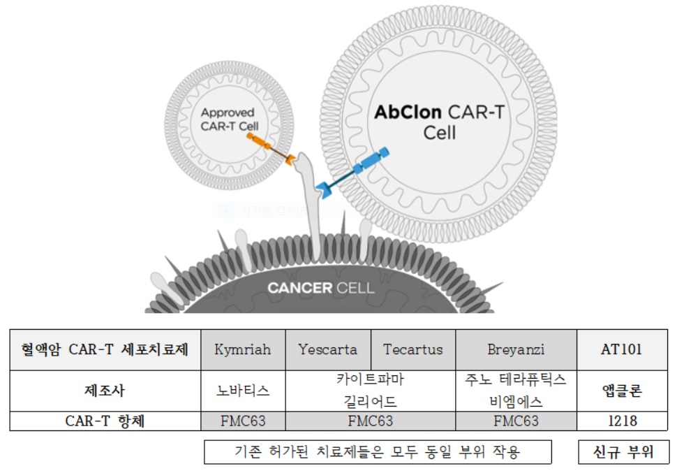 앱클론 AT101은 기존 CAR-T 세포치료제와 에피토프가 전혀 다른 신규 항체(1218)가 적용돼있다. 