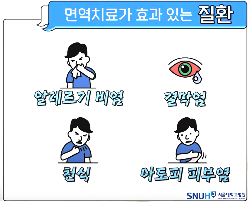 알레르기 비염 면역치료로 극복