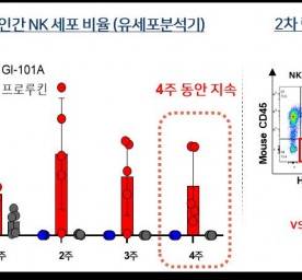 셀이노베이션 이미지