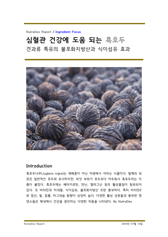 기능성 허브탐구_심혈관 건강에 도움 되는 흑호두