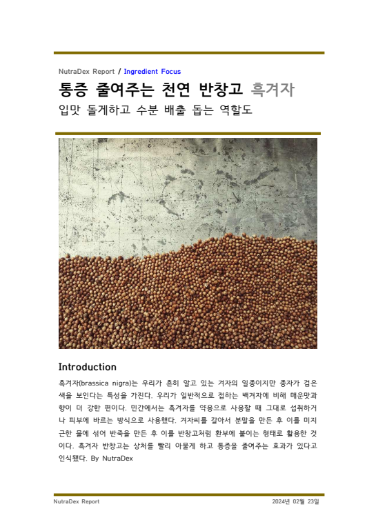 기능성 허브탐구_통증 줄여주는 천연 반창고 흑겨자