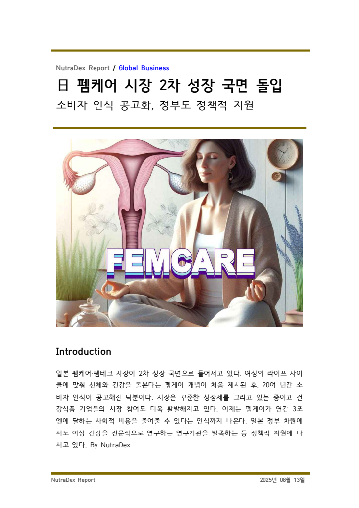 日 펨케어 시장 2차 성장 국면 돌입