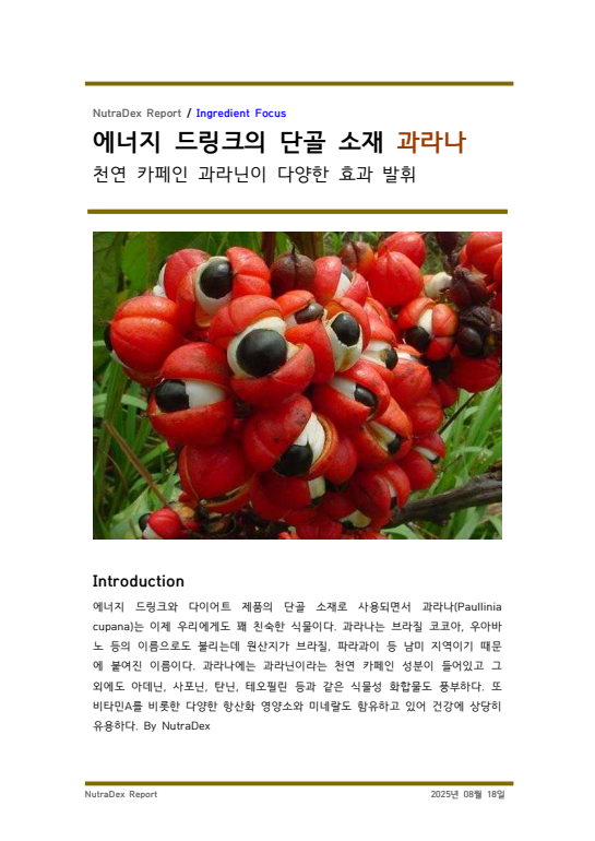 기능성 허브탐구_에너지 드링크의 단골 소재 과라나