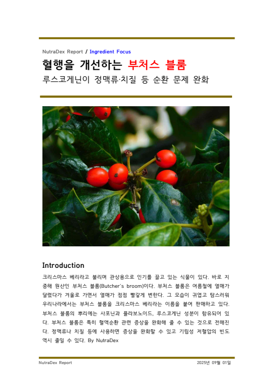 기능성 허브탐구_혈행을 개선하는 부처스 블룸