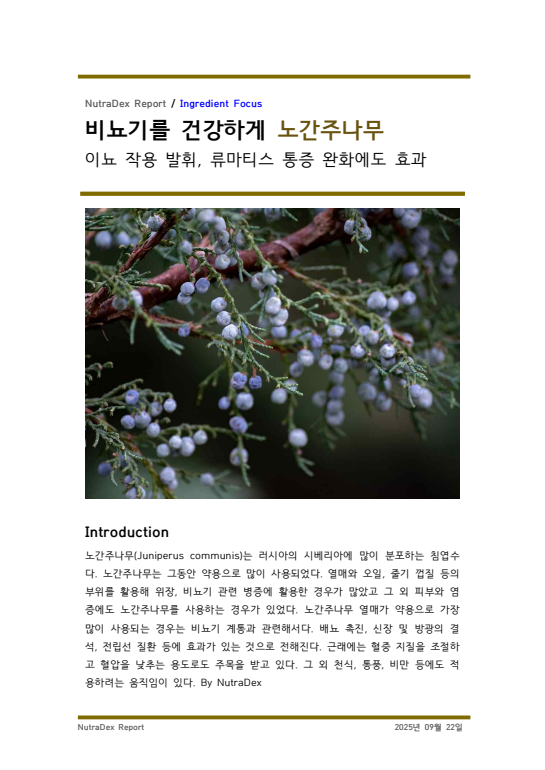 기능성 허브탐구_비뇨기를 건강하게 노간주나무