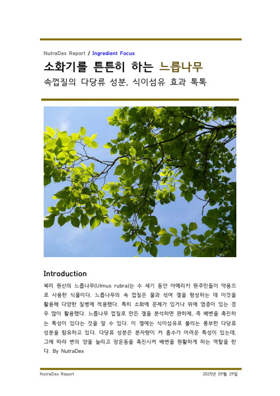 기능성 허브탐구_소화기를 튼튼히 하는 느릅나무