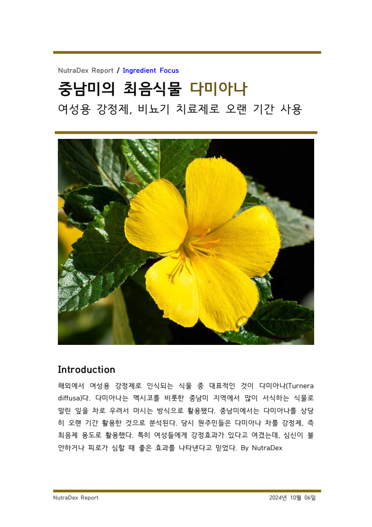 기능성 허브탐구_중남미의 최음식물 다미아나