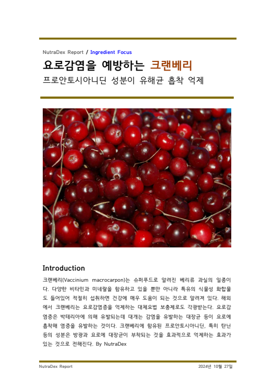 기능성 허브탐구_요로감염을 예방하는 크랜베리