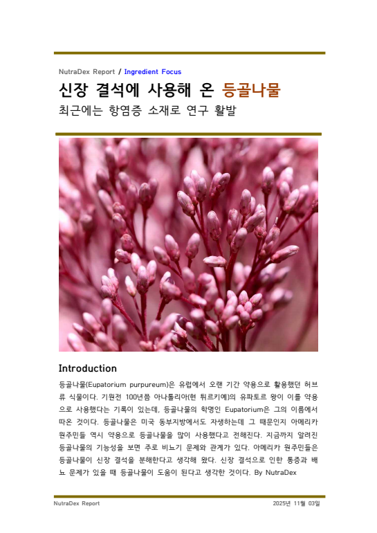 기능성 허브탐구_신장 결석에 사용해 온 등골나물