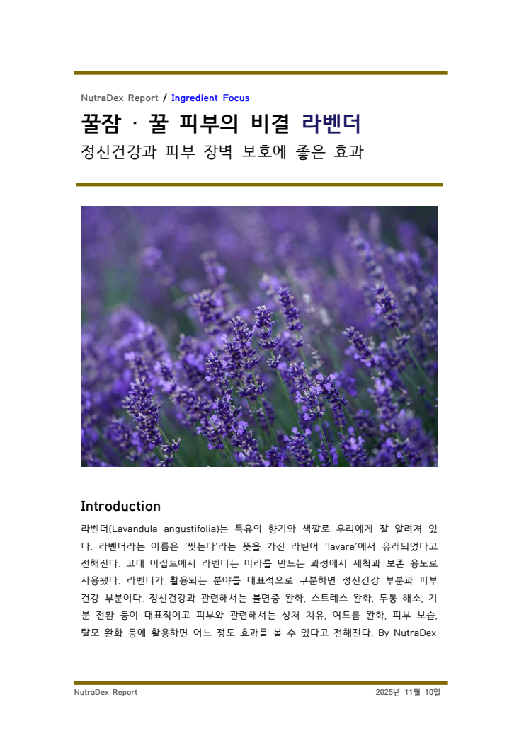 기능성 허브탐구_꿀잠 · 꿀 피부의 비결 라벤더
