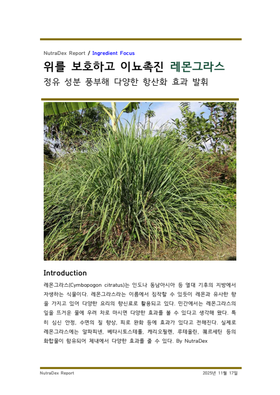 기능성 허브탐구_위를 보호하고 이뇨촉진 레몬그라스