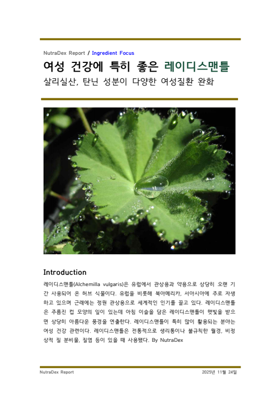 기능성 허브탐구_여성 건강에 특히 좋은 레이디스맨틀