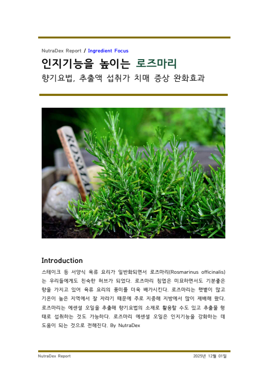 기능성 허브탐구_인지기능을 높이는 로즈마리