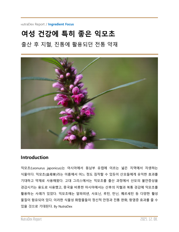기능성 허브탐구_여성 건강에 특히 좋은 익모초