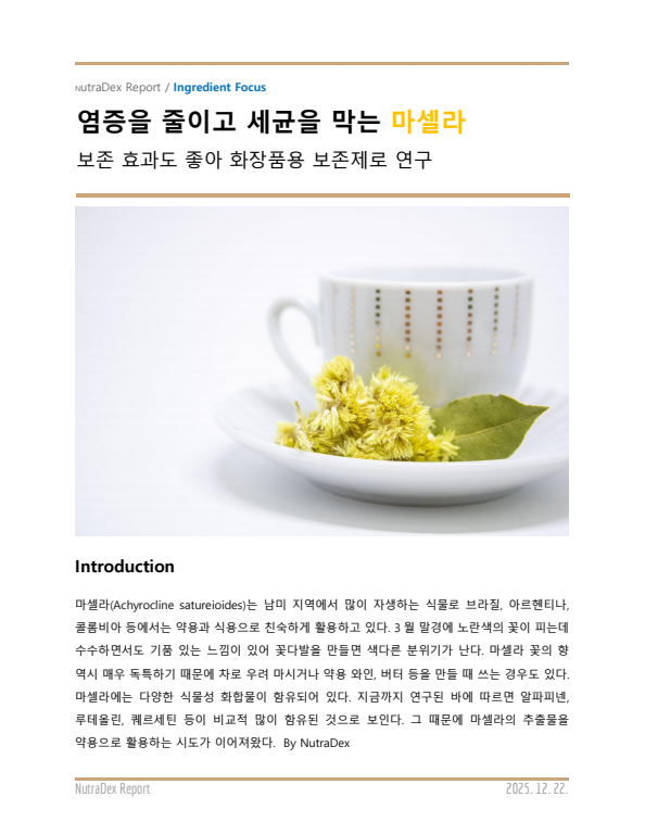 기능성 허브 탐구_염증을 줄이고 세균을 막는 마셀라