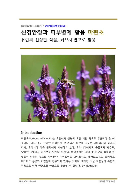 기능성 허브탐구_신경안정과 피부병에 활용 마편초