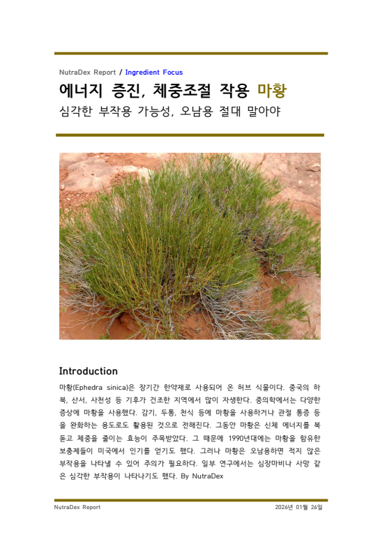기능성 허브탐구_에너지 증진, 체중조절 작용 마황