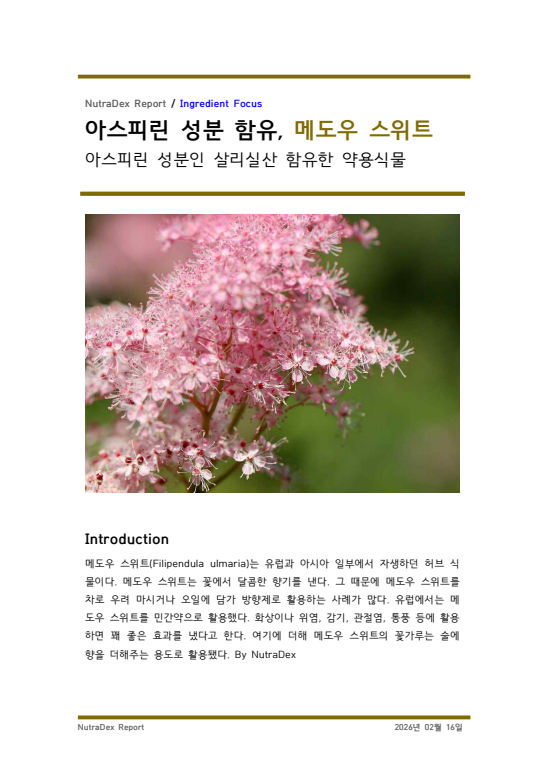 기능성 허브탐구_아스피린 성분 함유, 메도우 스위트