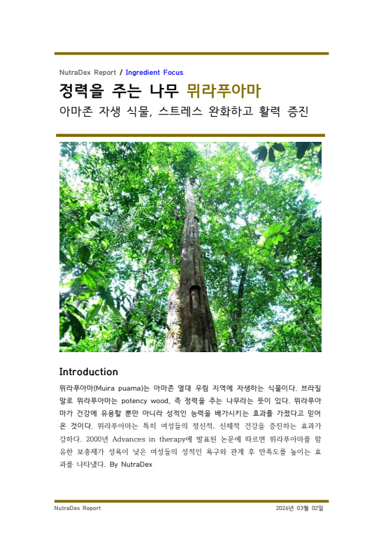 기능성 허브탐구_정력을 주는 나무 뮈라푸아마