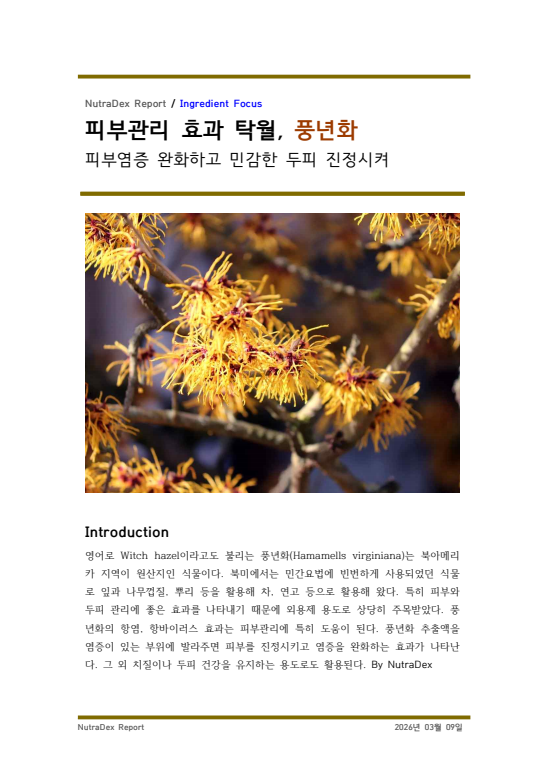 기능성 허브탐구_피부관리 효과 탁월, 풍년화