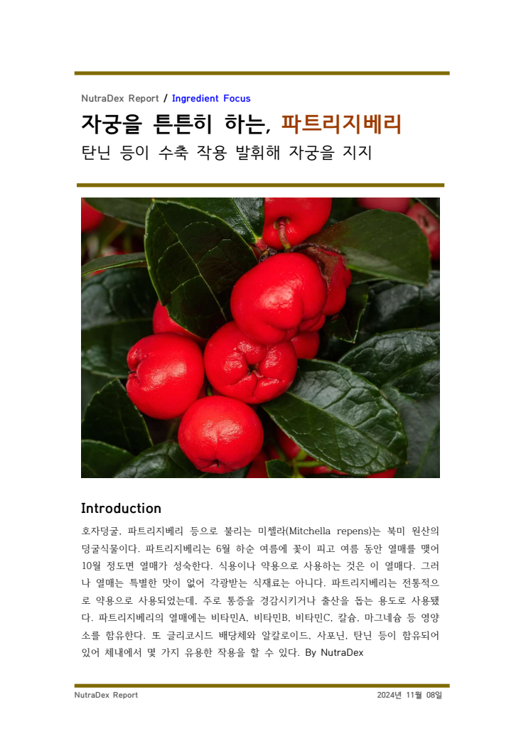 기능성 허브탐구_자궁을 튼튼히 하는, 파트리지베리