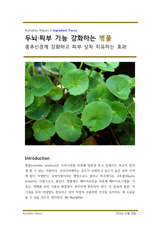 기능성 허브탐구_두뇌·피부 기능 강화하는 병풀