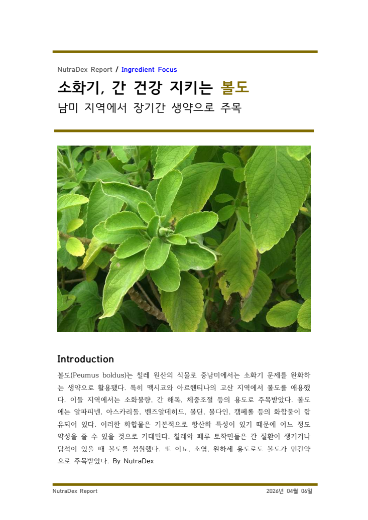 기능성 허브탐구_소화기, 간 건강 지키는 볼도