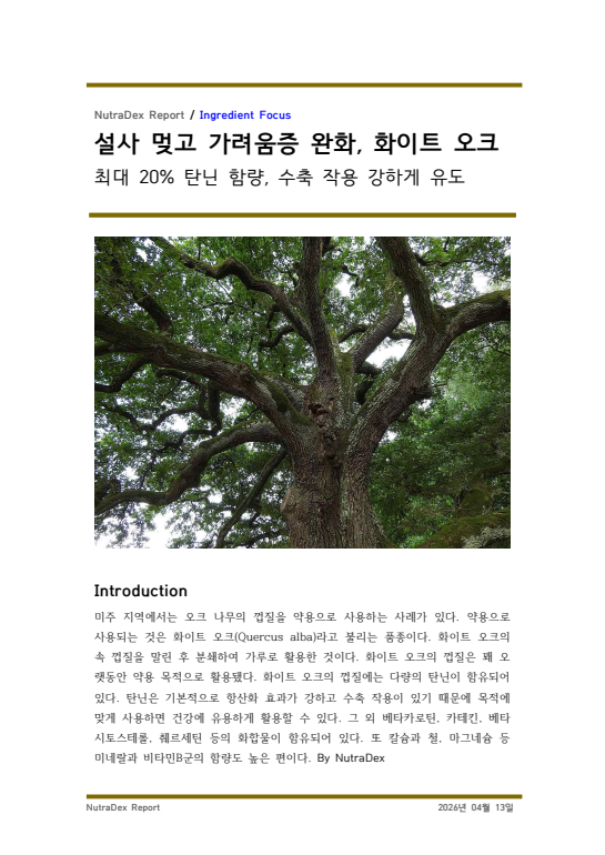 기능성 허브탐구_설사 멎고 가려움증 완화, 화이트 오크