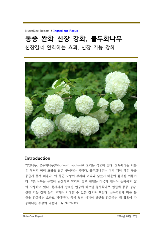 기능성 허브탐구_통증 완화 신장 강화, 불두화나무