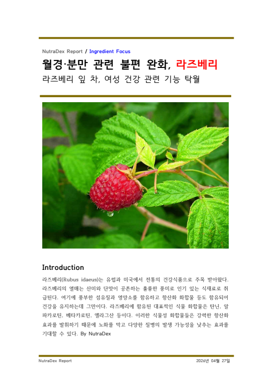기능성 허브탐구_월경·분만 관련 불편 완화, 라즈베리