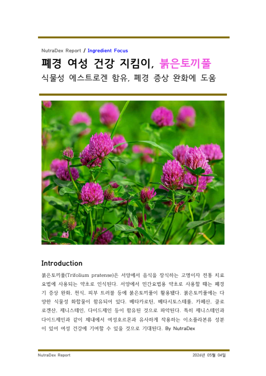 기능성 허브탐구_폐경 여성 건강 지킴이, 붉은토끼풀