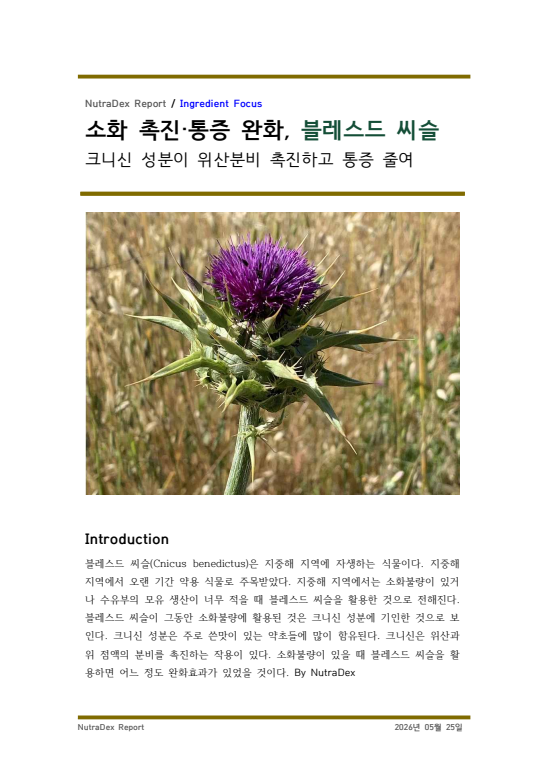 소화 촉진·통증 완화, 블레스드 씨슬