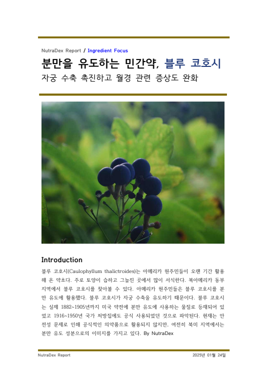 기능성 허브탐구_분만을 유도하는 민간약, 블루 코호시