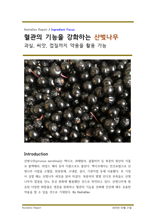 기능성 허브탐구_혈관의 기능을 강화하는 산벚나무