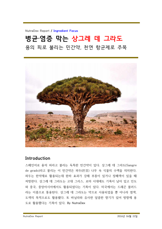 기능성 허브탐구_병균·염증 막는 상그레 데 그라도