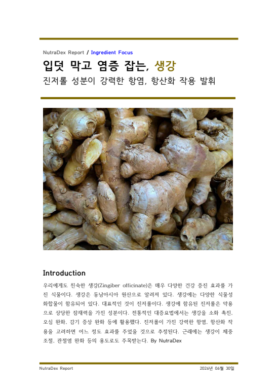 기능성 허브 탐구_입덧 막고 염증 잡는, 생강
