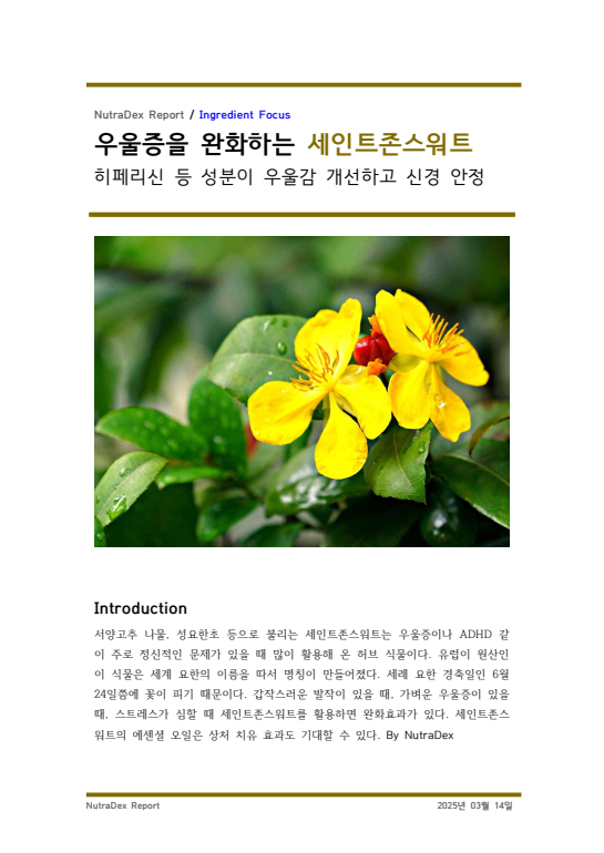 기능성 허브탐구_우울증을 완화하는 세인트존스워트