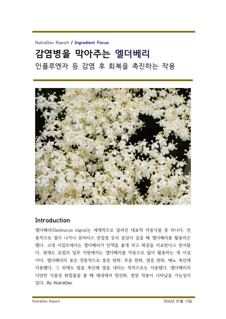 기능성 허브탐구_감염병을 막아주는 엘더베리