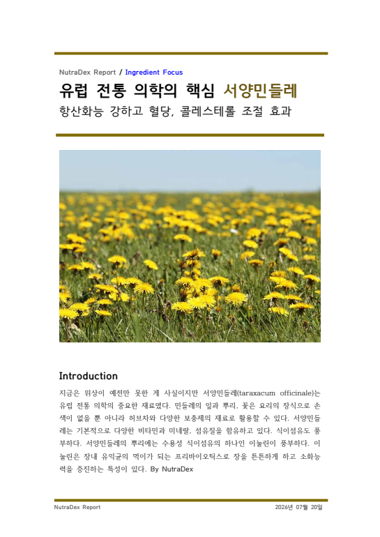 기능성 허브탐구_유럽 전통 의학의 핵심 서양민들레