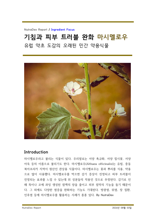 기능성 허브 탐구_기침과 피부 트러블 완화 마시멜로우