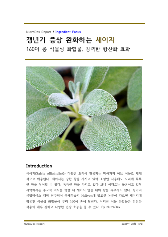 기능성 허브탐구_갱년기 증상 완화하는 세이지