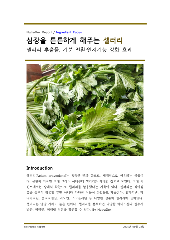 기능성 허브 탐구_심장을 튼튼하게 해주는 셀러리