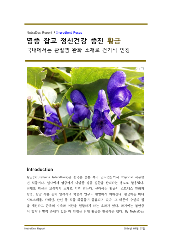 기능성 허브탐구_염증 잡고 정신건강 증진 황금